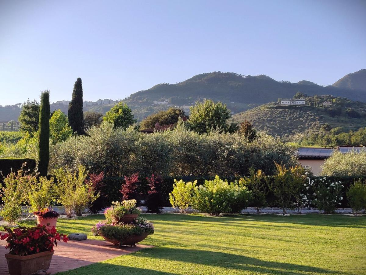 Tuscan Villa Exclusive Use Of Private Pool A/C Wifi Villa Briciola カパンノリ エクステリア 写真
