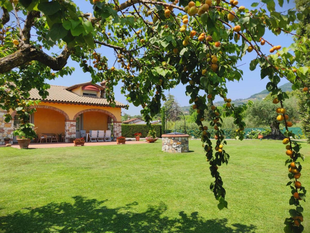 Tuscan Villa Exclusive Use Of Private Pool A/C Wifi Villa Briciola カパンノリ エクステリア 写真