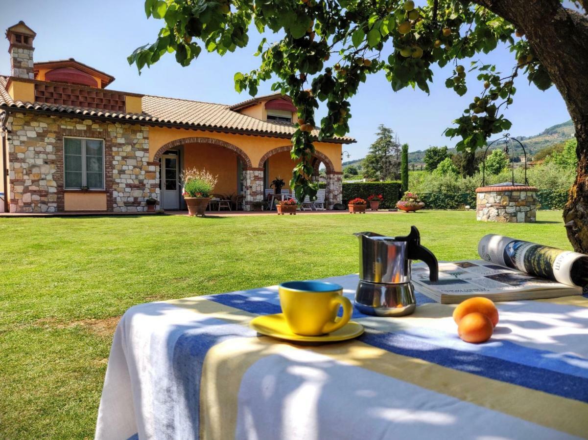 Tuscan Villa Exclusive Use Of Private Pool A/C Wifi Villa Briciola カパンノリ エクステリア 写真