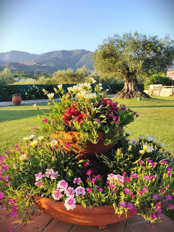 Tuscan Villa Exclusive Use Of Private Pool A/C Wifi Villa Briciola カパンノリ エクステリア 写真